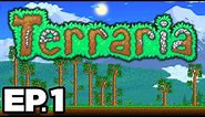 2D MINECRAFT? SURVIVING THE FIRST NIGHT, BUILDING SHELTER!!! - Terraria Ep.1 (Gameplay / Let's Play)