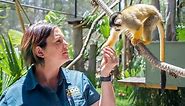 A day in the life of a zookeeper: There's more to it than just cuddling cute animals
