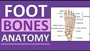 Foot Bones Anatomy Mnemonic: Tarsals, Metatarsals, Phalanges
