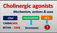 Cholinergic agonists || Mechanism, actions, side effects & uses