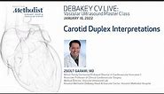 Carotid Duplex Interpretations (Zsolt Garami, MD) January 18, 2022