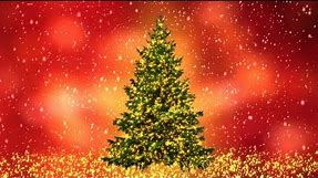 Twinkle Lights Christmas Tree 9 Colored Backgrounds Free Download Merry Christmas!