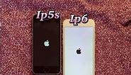 iPhone 5s vs iPhone 6 vs iPhone 7 vs iPhone 8