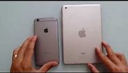 iPhone 6 plus vs iPad mini (tamaños)