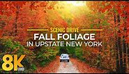 Fall Foliage in Upstate New York - Colorful Autumn Vibes in 8K Scenic Drive Video