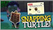 SO LUCKY! How To Catch A Snapping Turtle! - Animal Crossing New Horizons