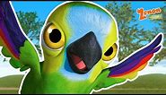 My Parrot Pepe | Zenon The Farmer