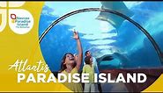 Nassau Paradise Island | Step into a vacation like no other at Atlantis Paradise Island