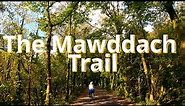 Mawddach Trail - Bike Ride