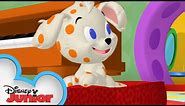 Mickey and Friends Babysit a Puppy 🐶 | Mickey Mornings | Mickey Mouse Clubhouse | Disney Junior