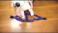 PetChampion - Step in Harness: How To