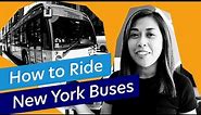How to Ride the Bus in New York City (MTA Bus)