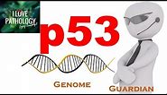 NEOPLASIA 4: p53 gene: The Guardian of the genome. functions, regulation and inactivation