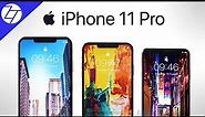 iPhone 11 Pro (2019) – FINAL Leaks & Rumors!