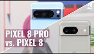 Google Pixel 8 Pro vs. Pixel 8: Which one to get?