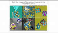 Pick the image of the Striped Cube and the Checkered Cube Roblox