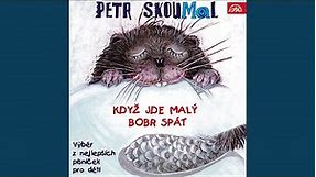 Píseň o moři (feat. Tomáš Rukavička)