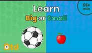 Learn Big or Small, with objects and things - Toondarshan