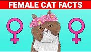 10 Fascinating Facts About Female Cats