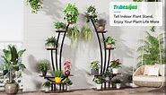 Tribesigns 6-Tier Tall Indoor Plant Stand Pack of 2, Metal Curved Display Shelf with 2 Hanging Hooks, Multi-Purpose Bonsai Flower Pots Plant Rack for Indoor, Garden, Balcony, Living Room