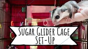 How to Set Up a Sugar Glider Cage | Sugar Glider Cages 101| Sugar Glider Basics| MyPawfectFamily