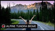 Alpine Tundra Biome Explained