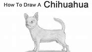 How to Draw a Dog (Chihuahua)