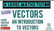 Introduction to Vectors (Part 1) | Vectors | Further Maths | A-Level Maths Series