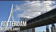 Erasmus Bridge, Rotterdam - 🇳🇱 Netherlands [4K HDR] Walking Tour