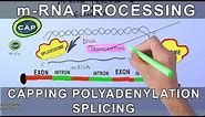 Overview of mRNA Processing in Eukaryotes