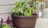 Here's How to Grow a Plentiful Vegetable Garden in a Container