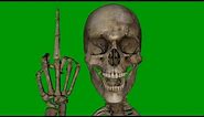 Greenscreen Skull - free to use in your projects
