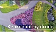 Keukenhof, The World's Biggest Flower Garden, Filmed With A Drone