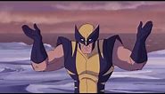 Wolverine all transformation in animation