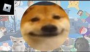 Roblox Find the Memes: how to get "Doge?" badge