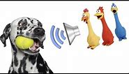 Dog Squeaky Toy - Sounds that attract your dogs attention HQ