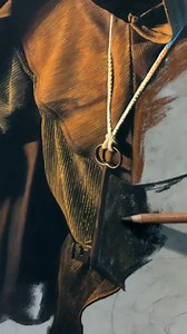 747K views · 42K reactions | On the occasion of the first prize I received for my painting ‘Dark’ in the Southeastern Pastel Society’s international ‘Luminosity’ competition, I publish the painting process that took more than a month to realise this work. | Fabio Cuffari painter | Facebook