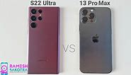 Samsung Galaxy S22 Ultra vs iPhone 13 Pro Max SpeedTest and Camera Comparison