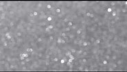 Grayish White Blur Sparkles Free Background Videos, No Copyright | All Background Videos