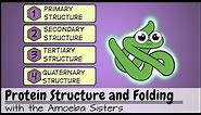 Protein Structure and Folding