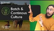 Batch & Continuous Culture | A Level Biology | OCR