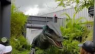 ‼️THIS IS WHY WE DO NOT PET THE RAPTORS‼️Make sure you watch ‘til the end. 🤣 The Raptor Encounter at Universal’s Islands of Adventures is definitely one of our favorite things to do, however, it’s not for those who might scare easy. (As in Natalie’s case…🤣☠️) It does make for a fun experience when you need an unsuspecting victim though…🤣☠️ . . . #universalstudios #universalorlando #universalislandsofadventure #islandsofadventure #universalszn #universalmoments #jurassicworld #jurassicpark #ra