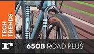 What are 650b tyres and road plus?