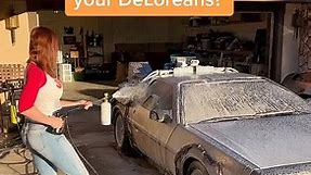 Car wash day! #carwash #delorean #deloreantimemachine #bttf #backtothefuture #cargirl #carhoarding #carcollection | Carlotta Champagne