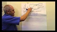 ECG (Electrocardiogram) EKG Lesson