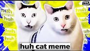 Huh cat meme. Cat saying huh