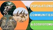 What are Populations, Communities & Ecosystems?