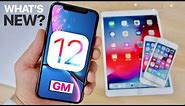 iOS 12 GM Released! What's New & How To Update!