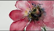 Tips On How To Paint Flowers In Watercolour