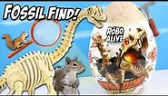ROBO Alive Mega Dino Fossil Find a Smashers Like Brontosaurus Review